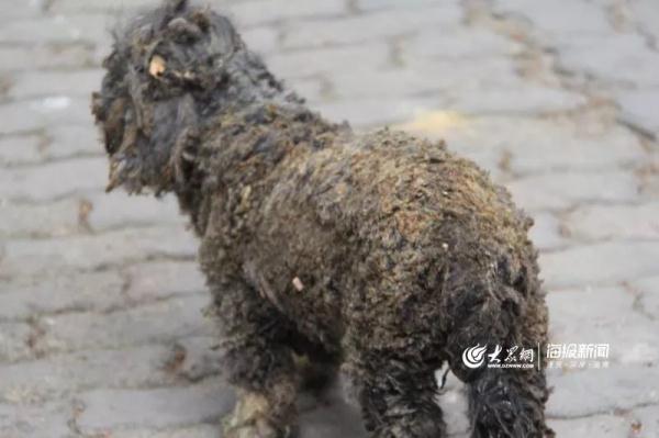 突發(fā)！青島一居民樓發(fā)生爆燃！已造1人死亡，7人受傷！3公里外有震感…